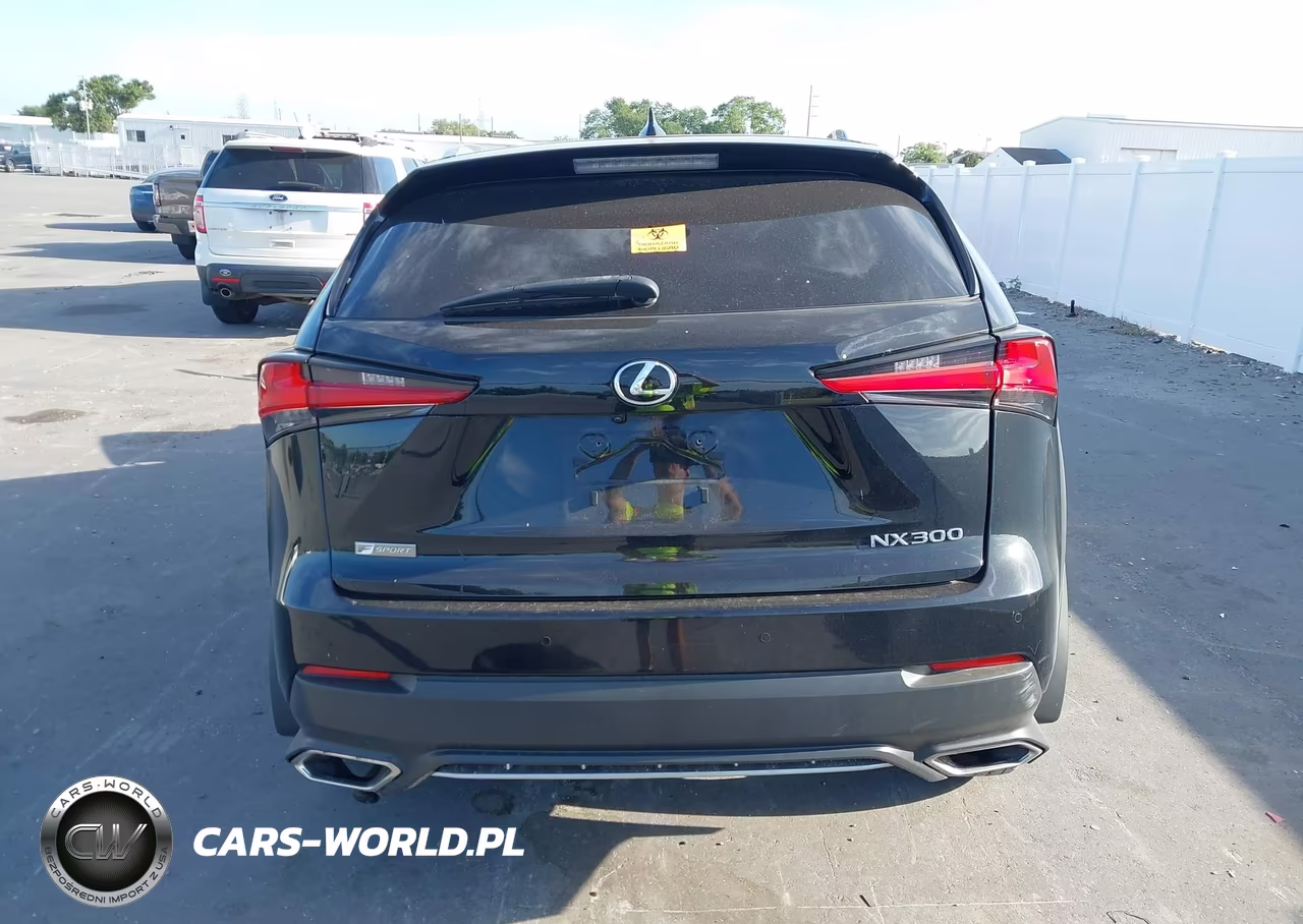 2019 Lexus Nx 300 F Sport VIN:JTJBARBZ9K2185899 - 15