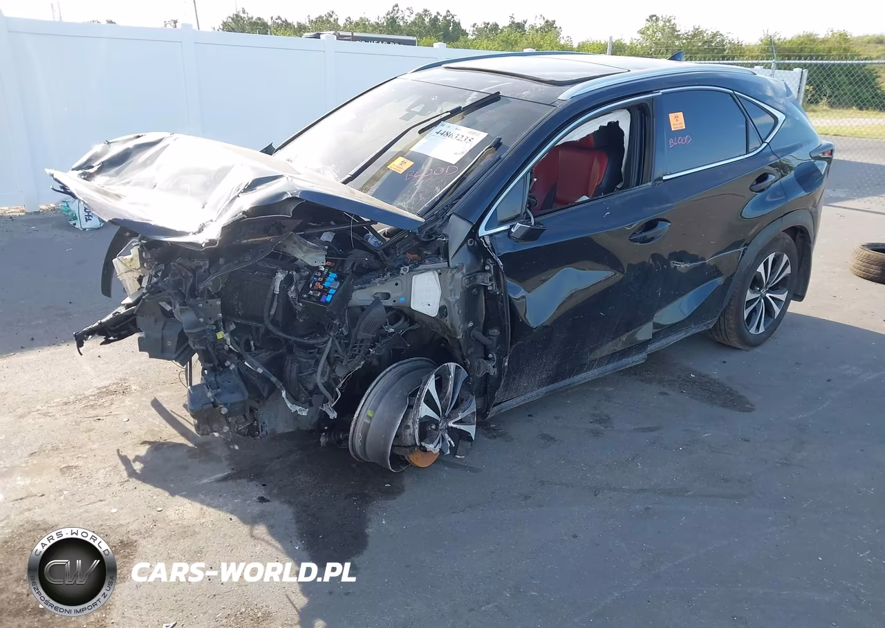 2019 Lexus Nx 300 F Sport VIN:JTJBARBZ9K2185899 - 2