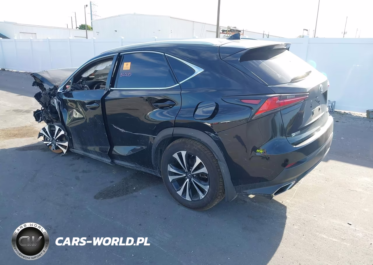2019 Lexus Nx 300 F Sport VIN:JTJBARBZ9K2185899 - 3