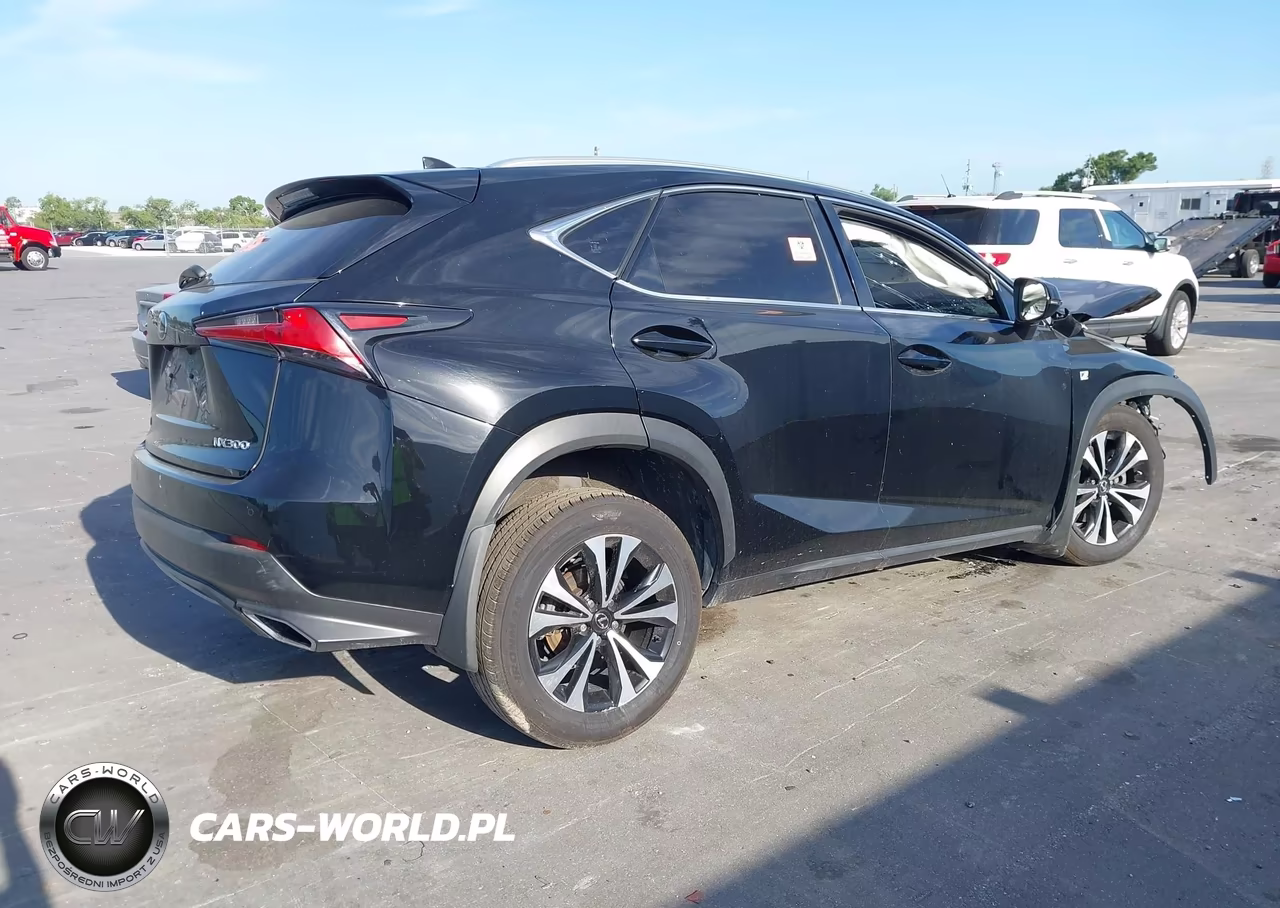 2019 Lexus Nx 300 F Sport VIN:JTJBARBZ9K2185899 - 4