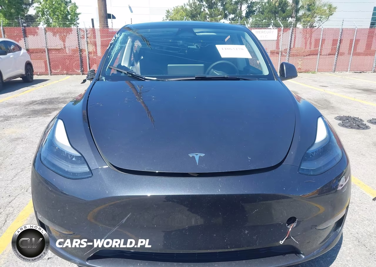 2024 Tesla Model Y Long Range Dual Motor All-Wheel Drive VIN:7SAYGAEE8RF034696 - 12