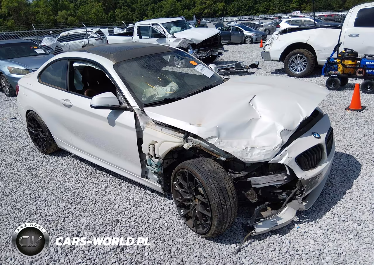 2015 BMW 228I
