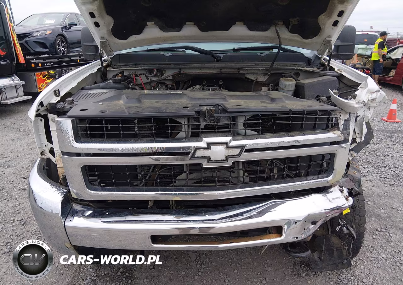 2010 Chevrolet Silverado 2500Hd Work Truck VIN:1GC5KVBG6AZ219145 - 10