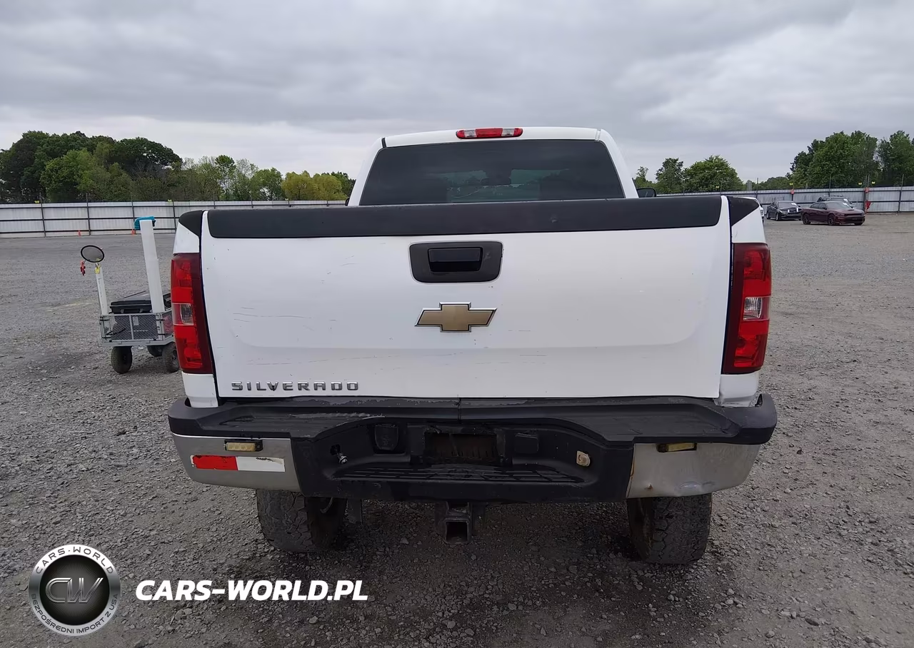 2010 Chevrolet Silverado 2500Hd Work Truck VIN:1GC5KVBG6AZ219145 - 17