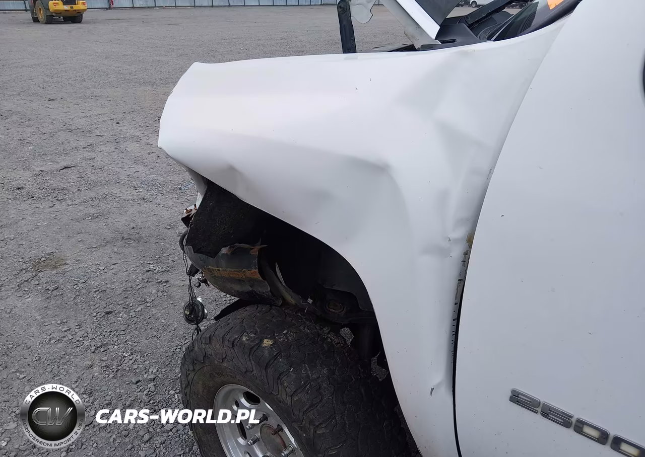 2010 Chevrolet Silverado 2500Hd Work Truck VIN:1GC5KVBG6AZ219145 - 18