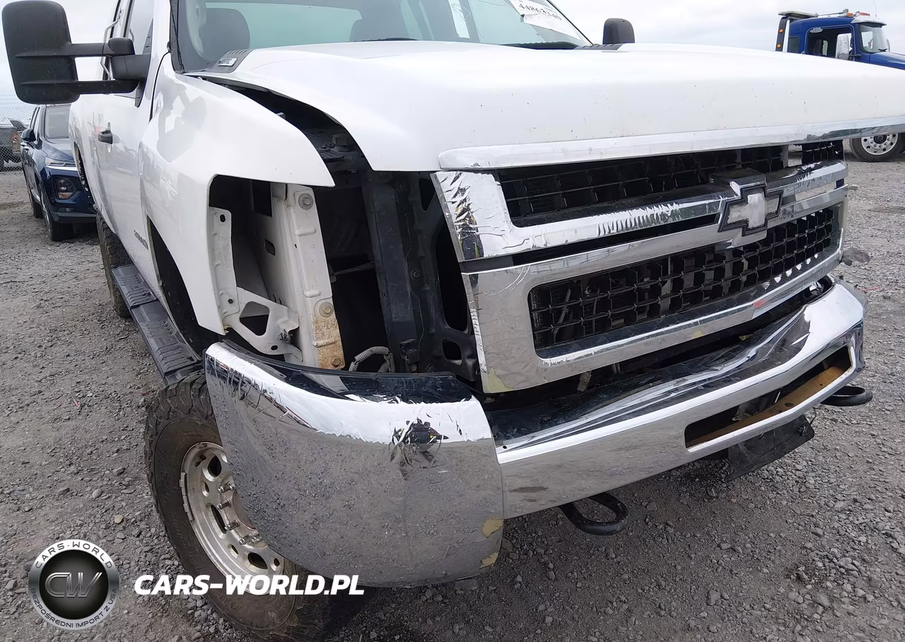 2010 Chevrolet Silverado 2500Hd Work Truck VIN:1GC5KVBG6AZ219145 - 22