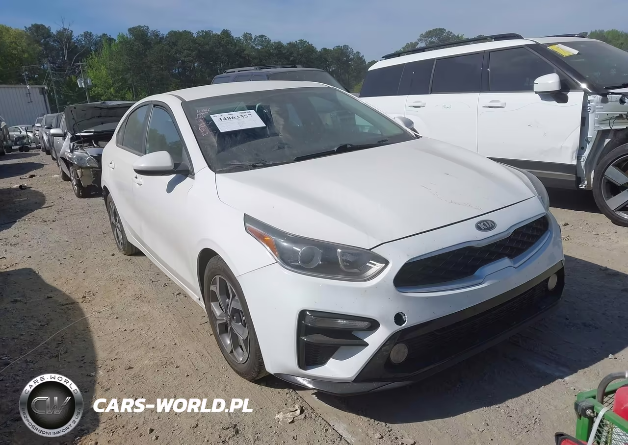 2019 Kia Forte Lxs