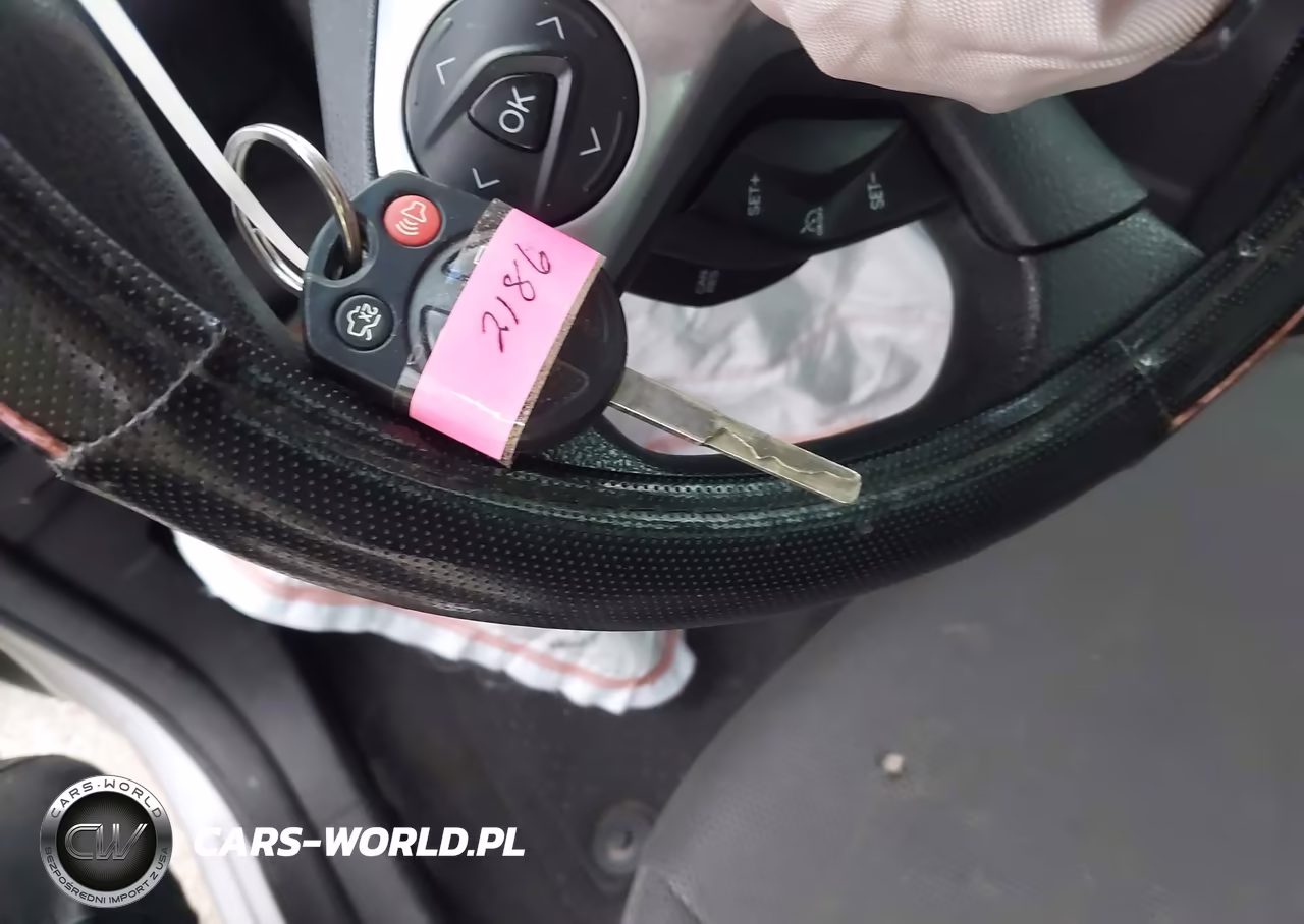 2013 Ford Focus Se VIN:1FADP3F24DL289773 - 11