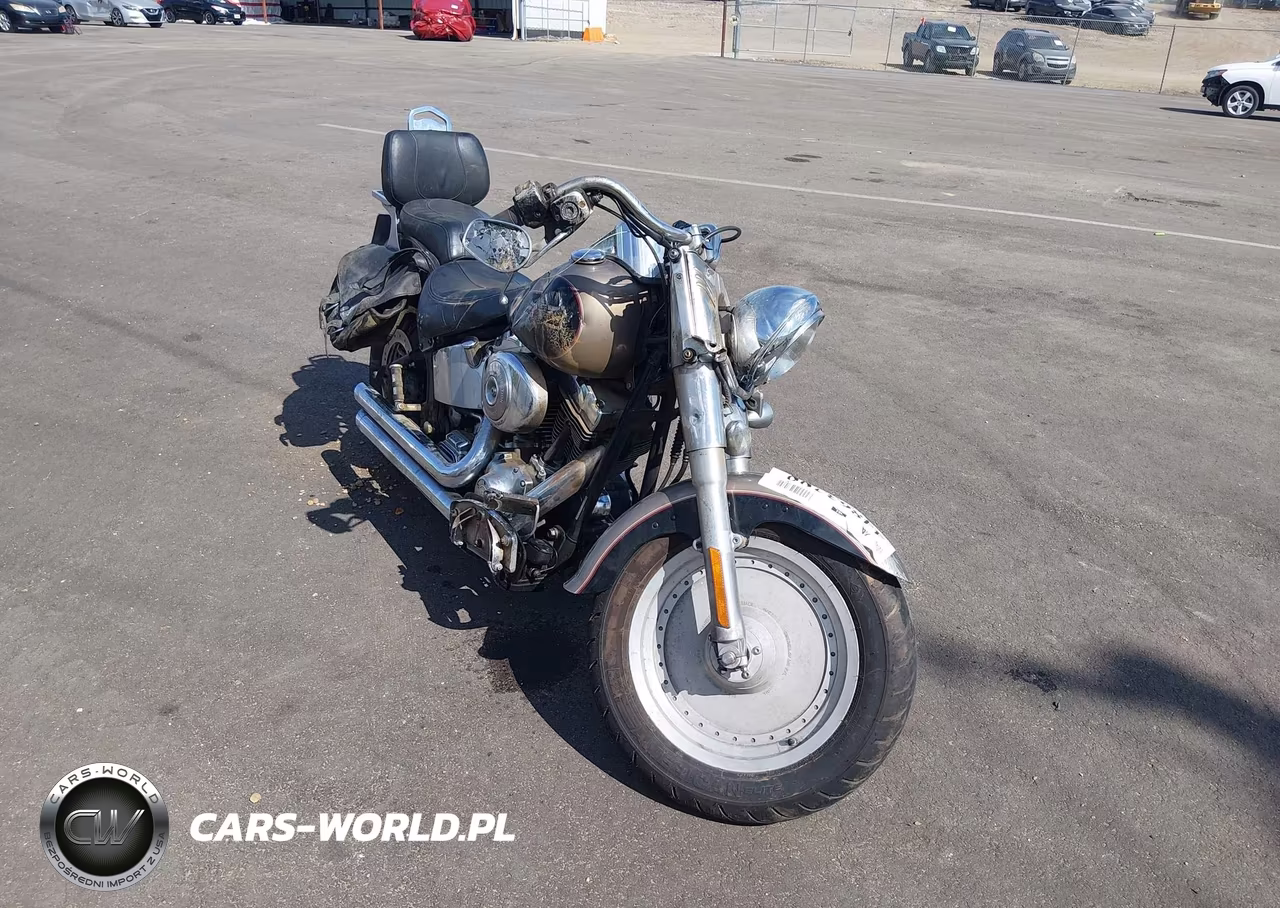 2004 Harley-Davidson Flstfi