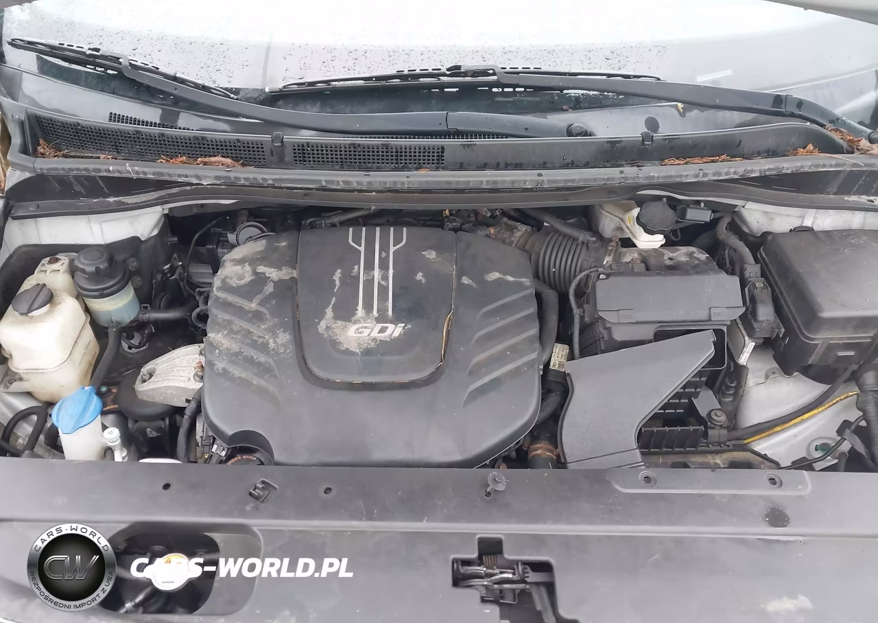 2017 Kia Sedona Lx VIN:KNDMB5C12H6250068 - 10