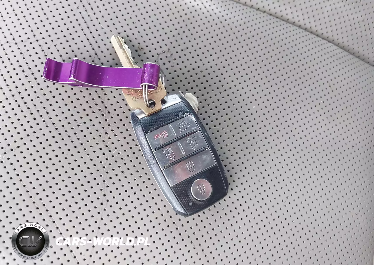 2017 Kia Sedona Lx VIN:KNDMB5C12H6250068 - 11