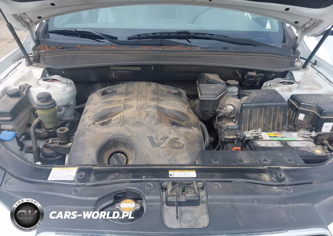 2008 Hyundai Santa Fe Limited-Se VIN:5NMSH73E58H147329 - 10