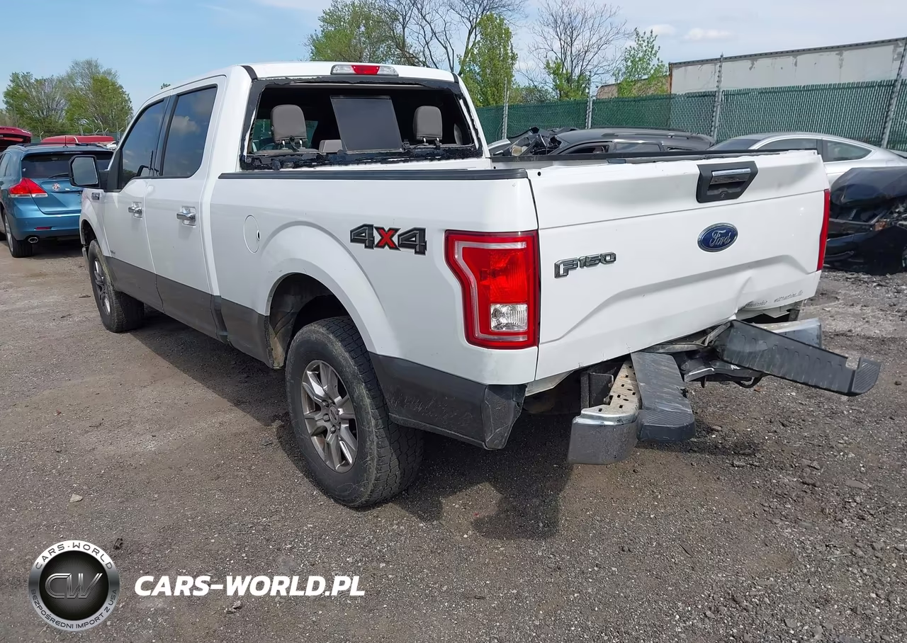 2016 Ford F-150 Xlt VIN:1FTFW1EG3GFA69485 - 3