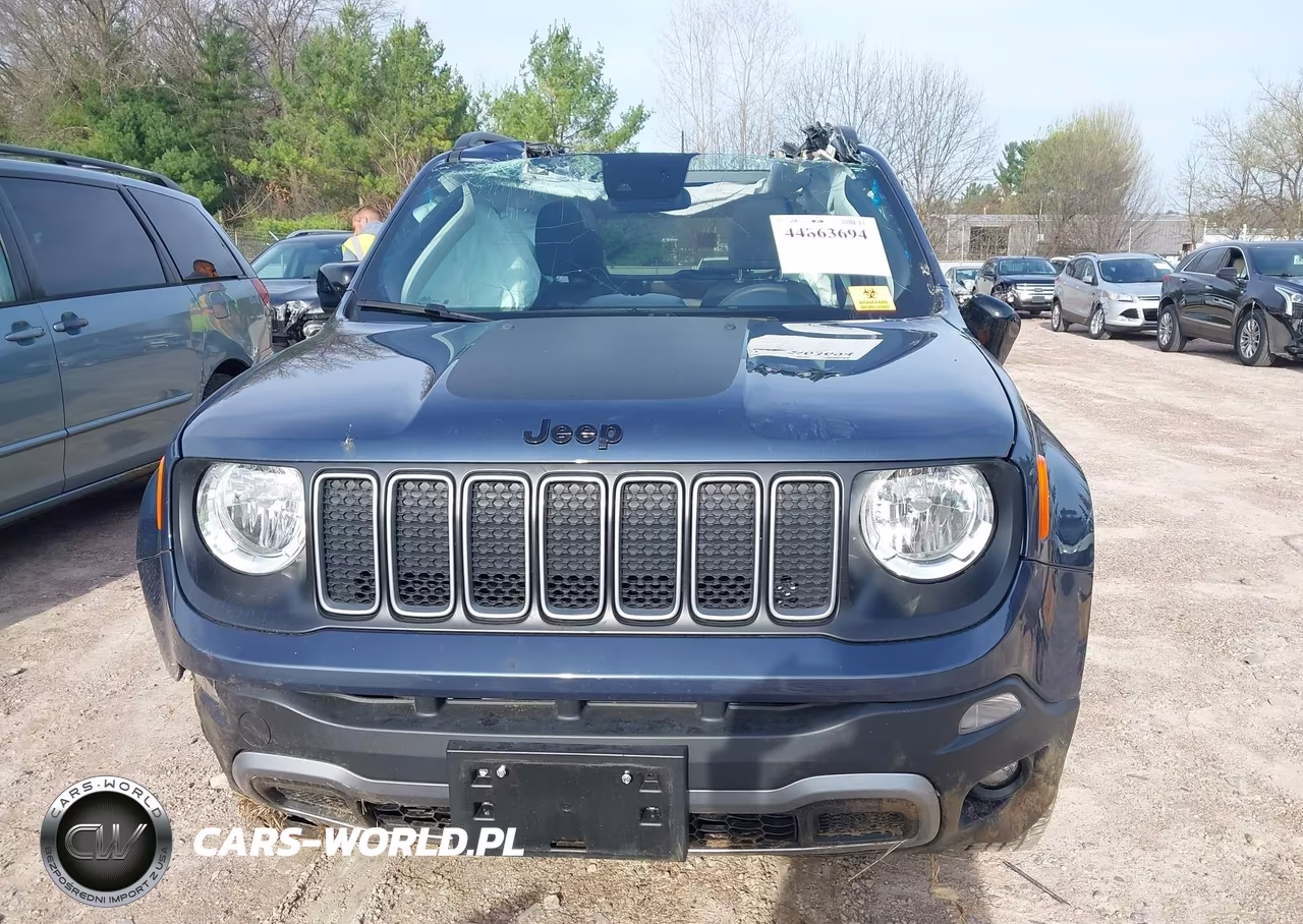 2023 Jeep Renegade Upland 4X4 VIN:ZACNJDB18PPP59822 - 11
