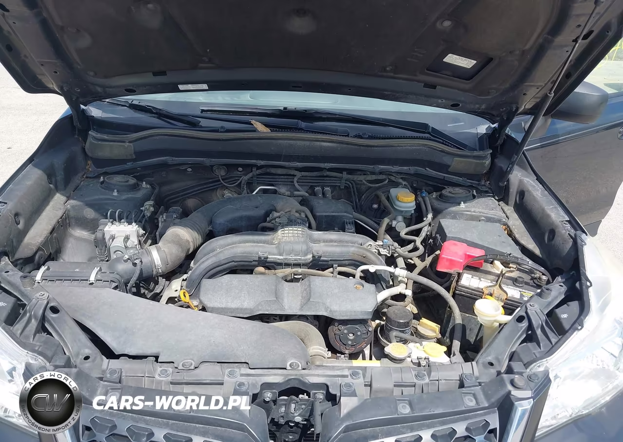 2016 Subaru Forester 2.5I VIN:JF2SJABC4GH522744 - 10