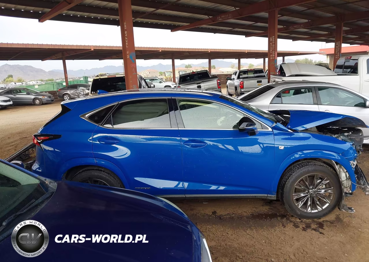 2021 Lexus Nx 300H F Sport Black Line VIN:JTJSJRDZ9M2155365 - 13