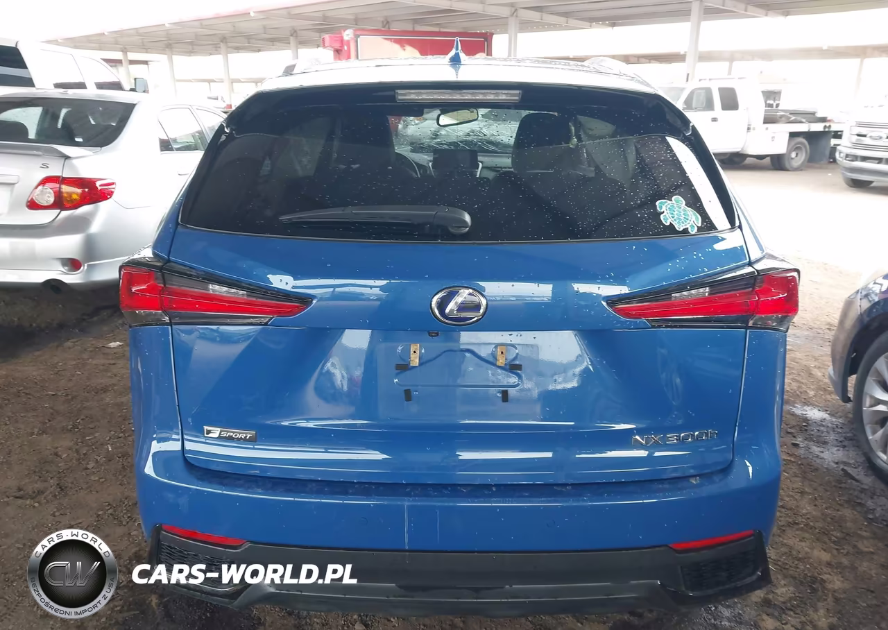 2021 Lexus Nx 300H F Sport Black Line VIN:JTJSJRDZ9M2155365 - 16