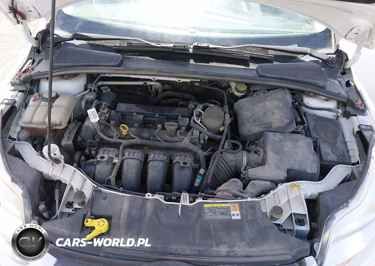 2013 Ford Focus Se VIN:1FADP3F27DL188808 - 10