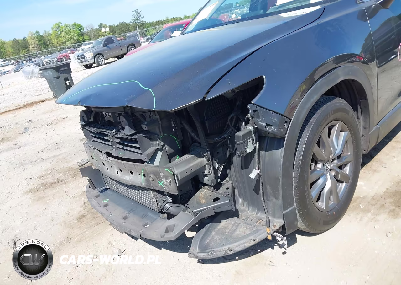 2018 Mazda Cx-9 Sport VIN:JM3TCABY8J0218256 - 6
