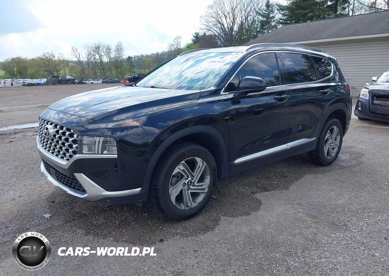 2022 Hyundai Santa Fe Sel VIN:5NMS2DAJ6NH411511 - 2