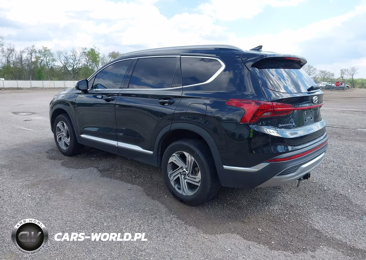 2022 Hyundai Santa Fe Sel VIN:5NMS2DAJ6NH411511 - 3