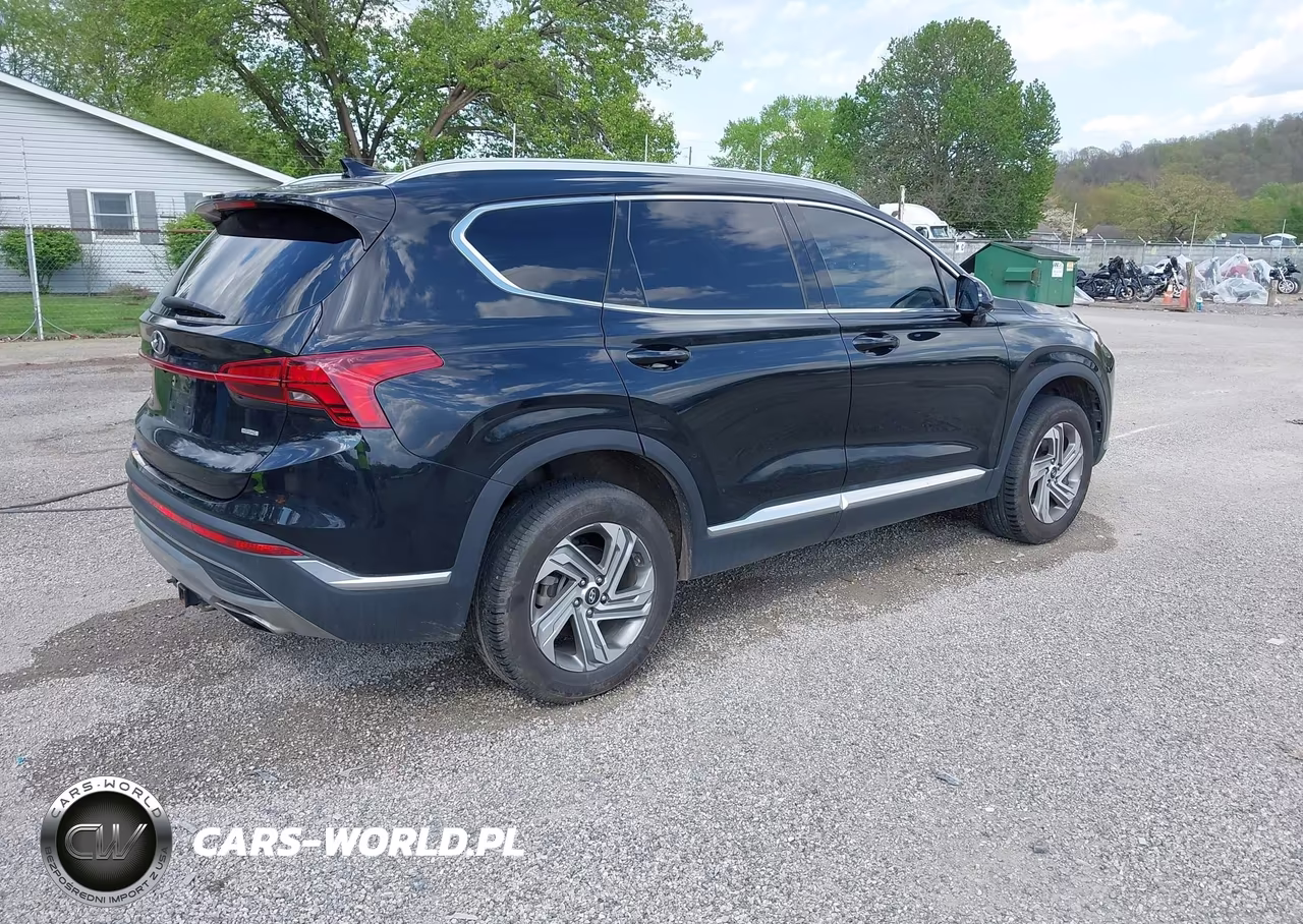 2022 Hyundai Santa Fe Sel VIN:5NMS2DAJ6NH411511 - 4