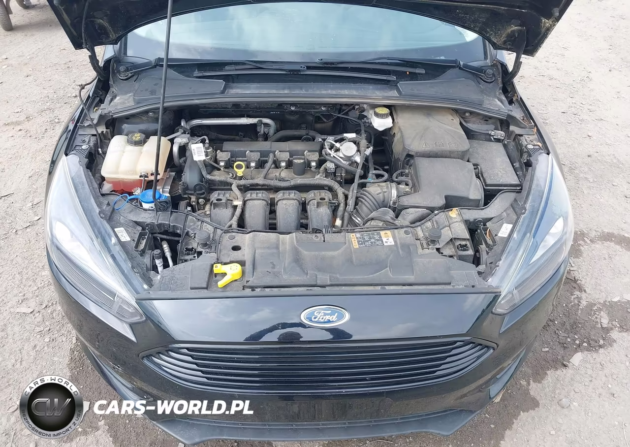 2018 Ford Focus Se VIN:1FADP3F25JL308049 - 10