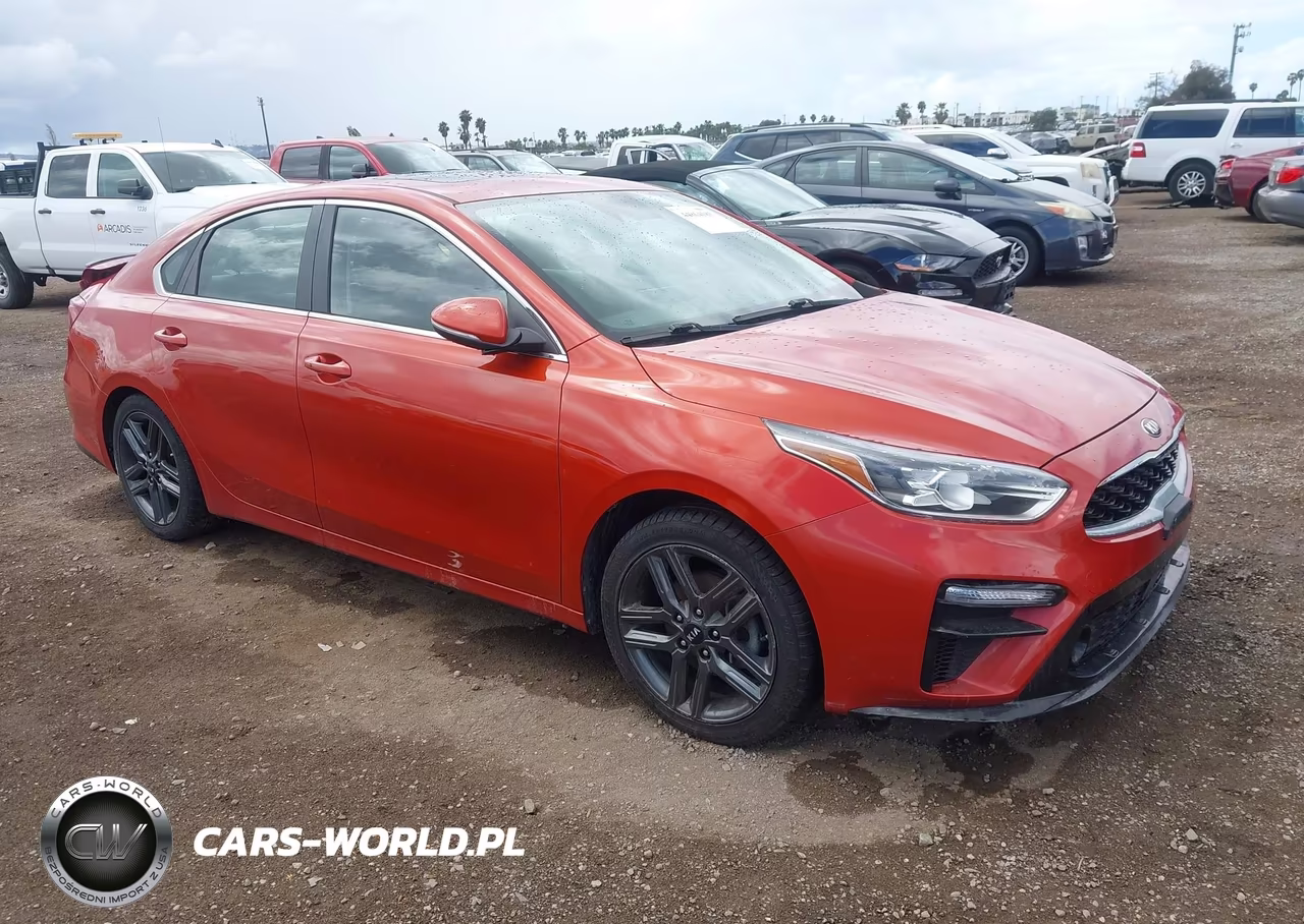 2019 Kia Forte Ex