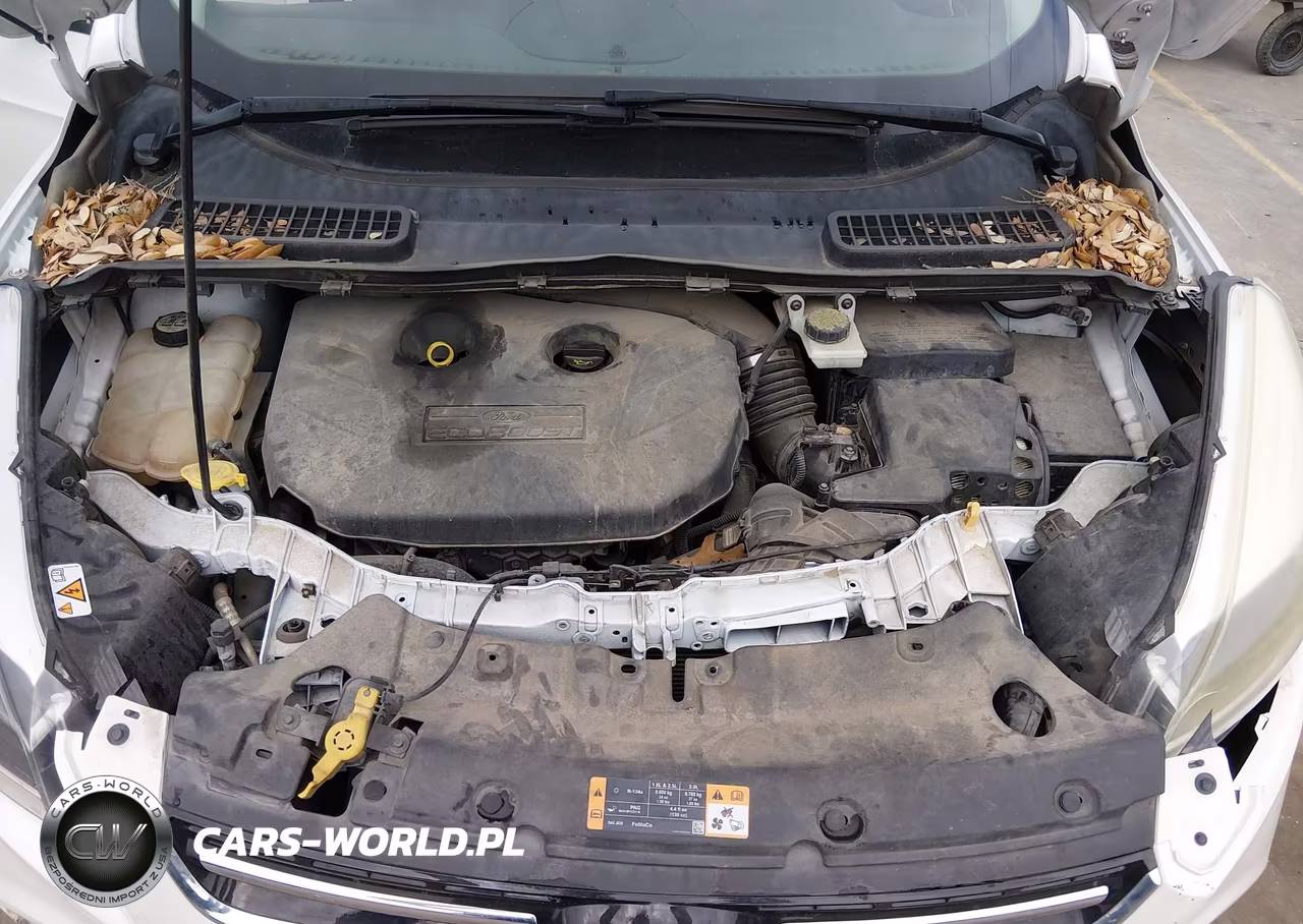 2013 Ford Escape Titanium VIN:1FMCU0J94DUC44744 - 10