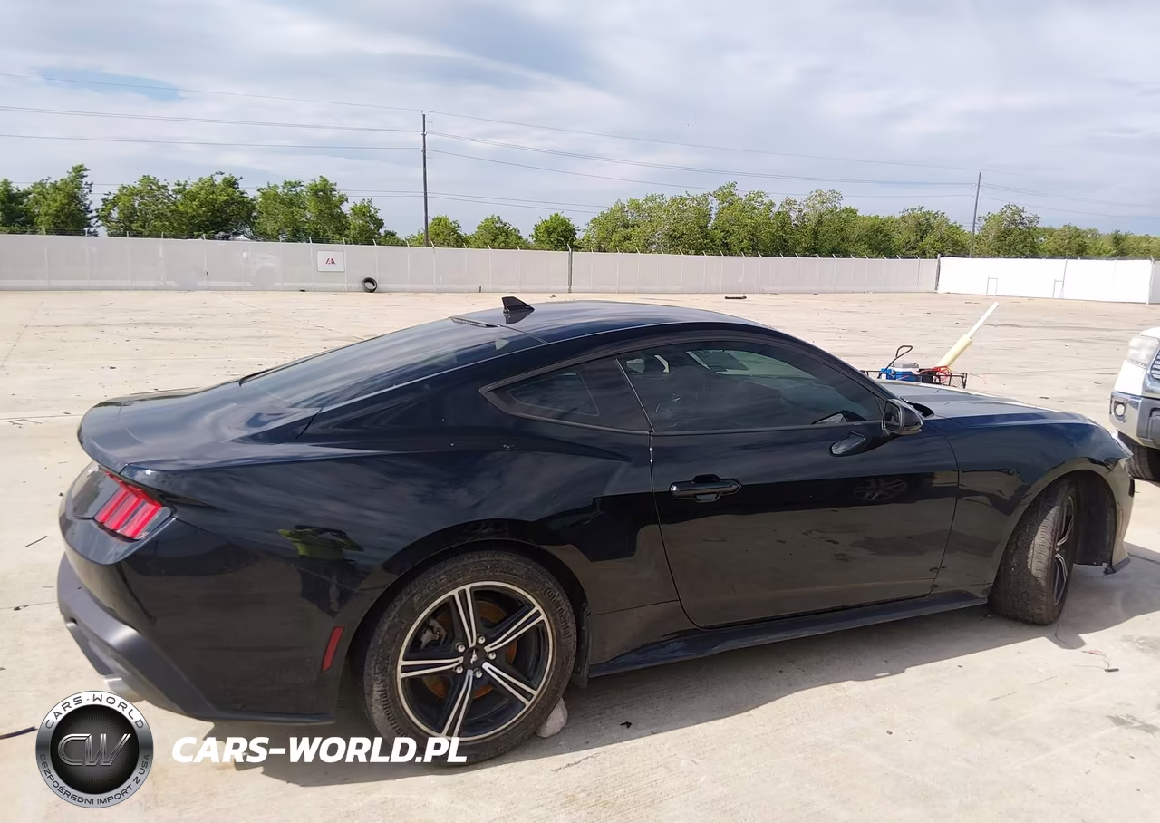 2024 Ford Mustang Ecoboost Fastback VIN:1FA6P8TH8R5140373 - 13