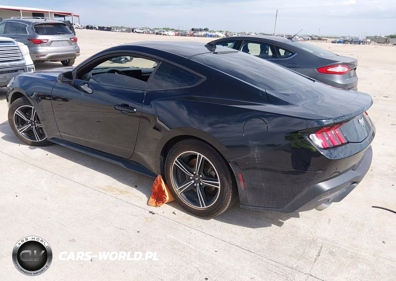 2024 Ford Mustang Ecoboost Fastback VIN:1FA6P8TH8R5140373 - 3