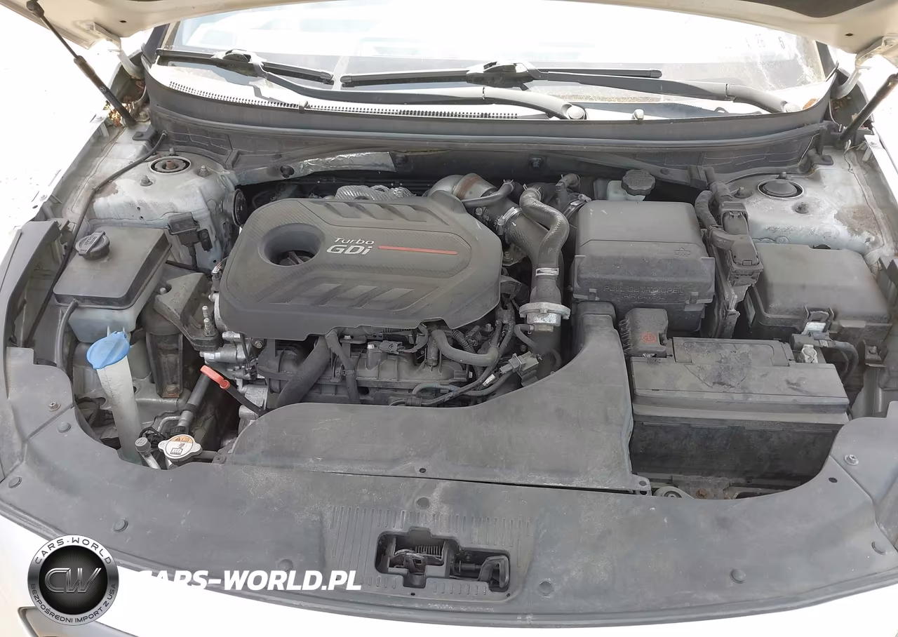 2017 Hyundai Sonata Sport 2.0T VIN:5NPE34AB9HH498296 - 10
