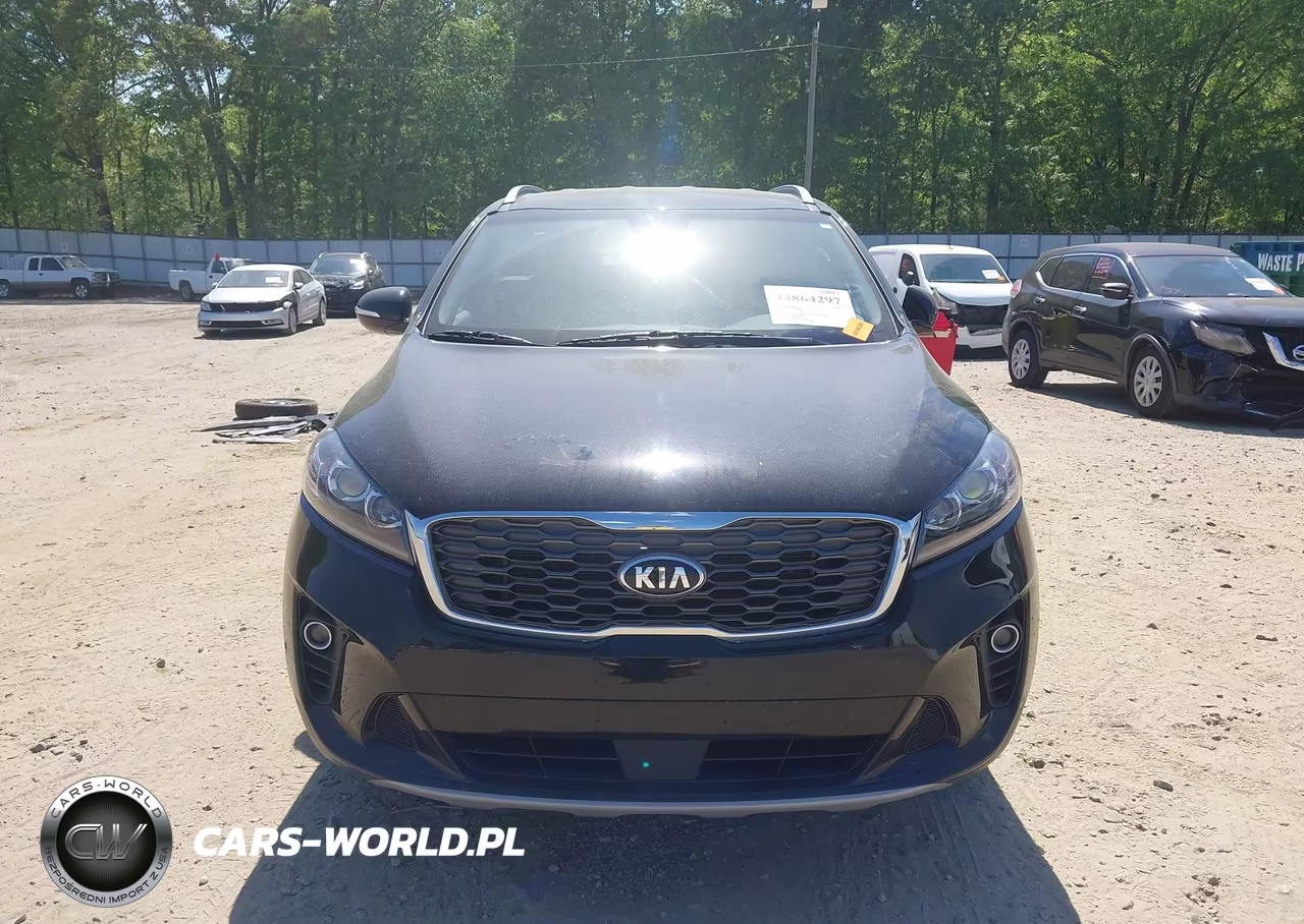 2019 Kia Sorento 3.3L Ex VIN:5XYPH4A5XKG464791 - 13