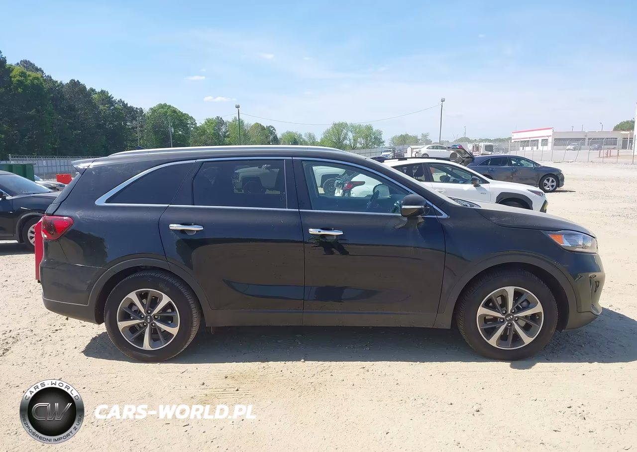 2019 Kia Sorento 3.3L Ex VIN:5XYPH4A5XKG464791 - 14