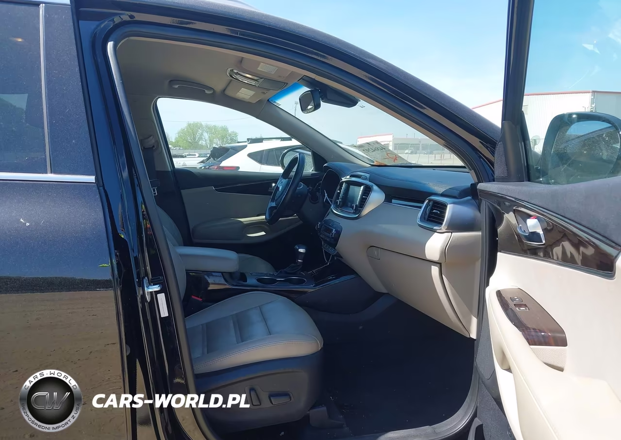 2019 Kia Sorento 3.3L Ex VIN:5XYPH4A5XKG464791 - 5
