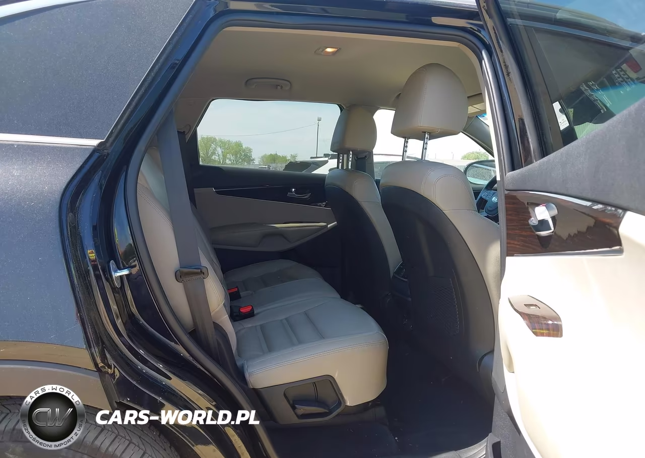 2019 Kia Sorento 3.3L Ex VIN:5XYPH4A5XKG464791 - 8
