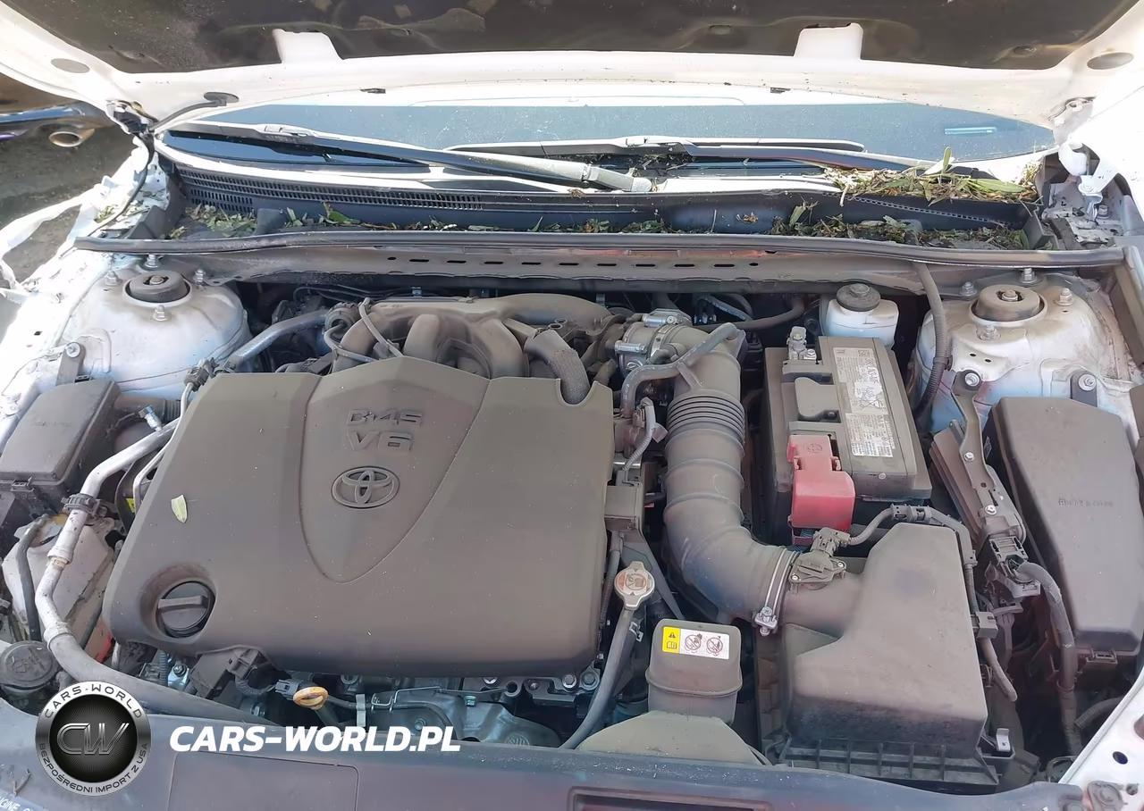 2024 Toyota Camry Trd V6 VIN:4T1KZ1AK8RU100370 - 10