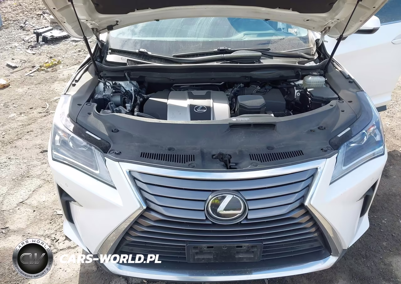 2018 Lexus Rx 350L Premium VIN:JTJDZKCA1J2001555 - 10