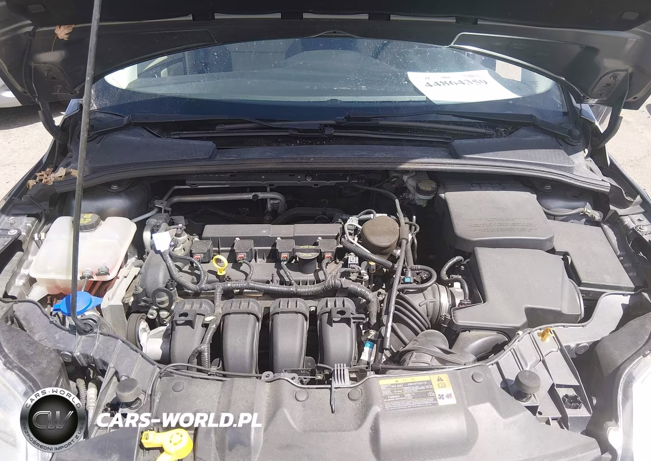 2014 Ford Focus Se VIN:1FADP3K25EL262721 - 10
