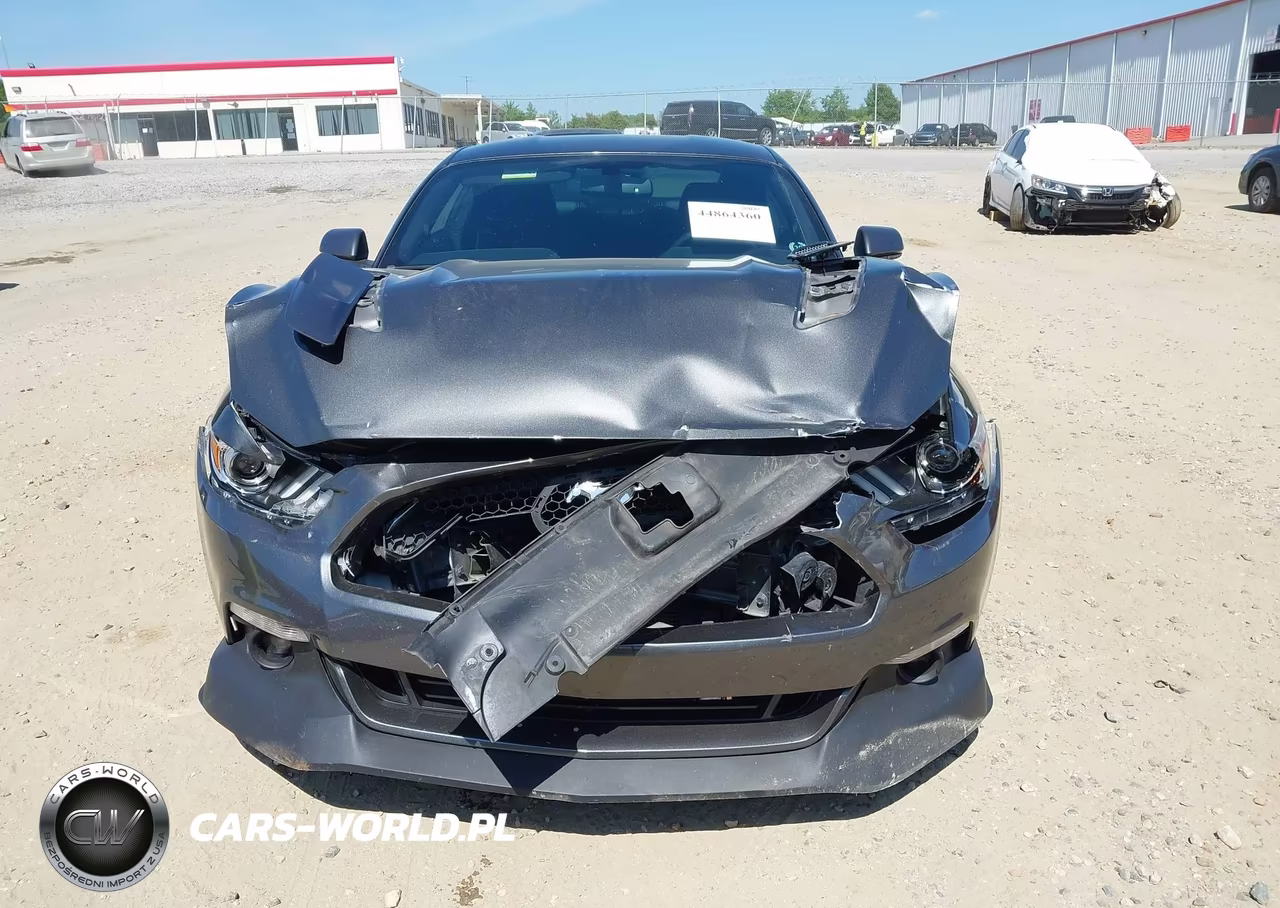 2015 Ford Mustang Gt Premium VIN:1FA6P8CF3F5380537 - 13