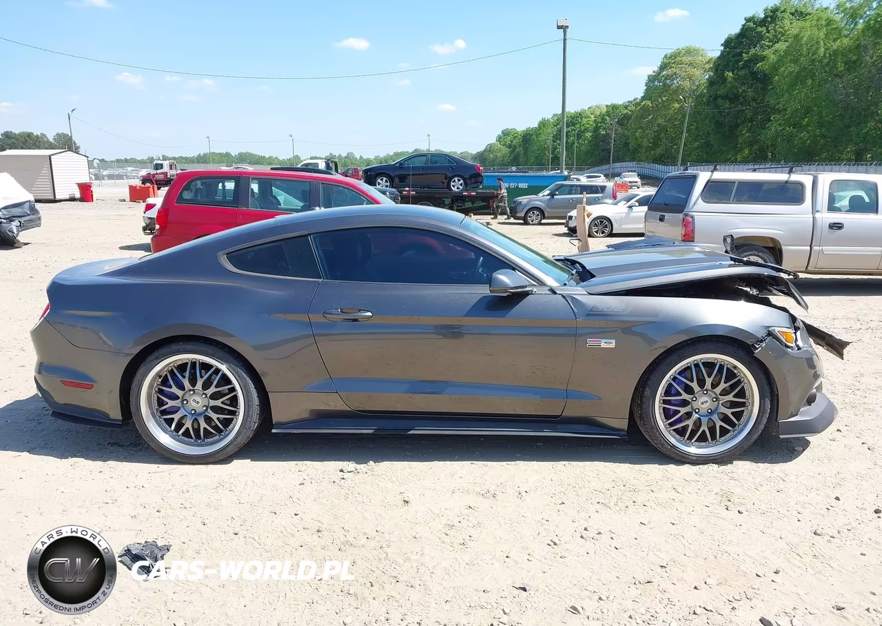2015 Ford Mustang Gt Premium VIN:1FA6P8CF3F5380537 - 14