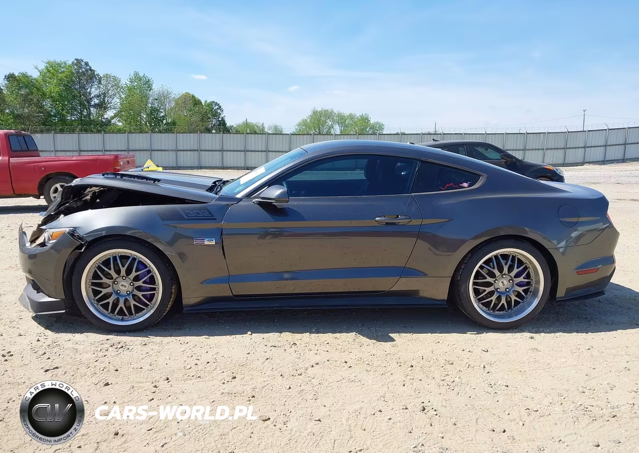 2015 Ford Mustang Gt Premium VIN:1FA6P8CF3F5380537 - 15