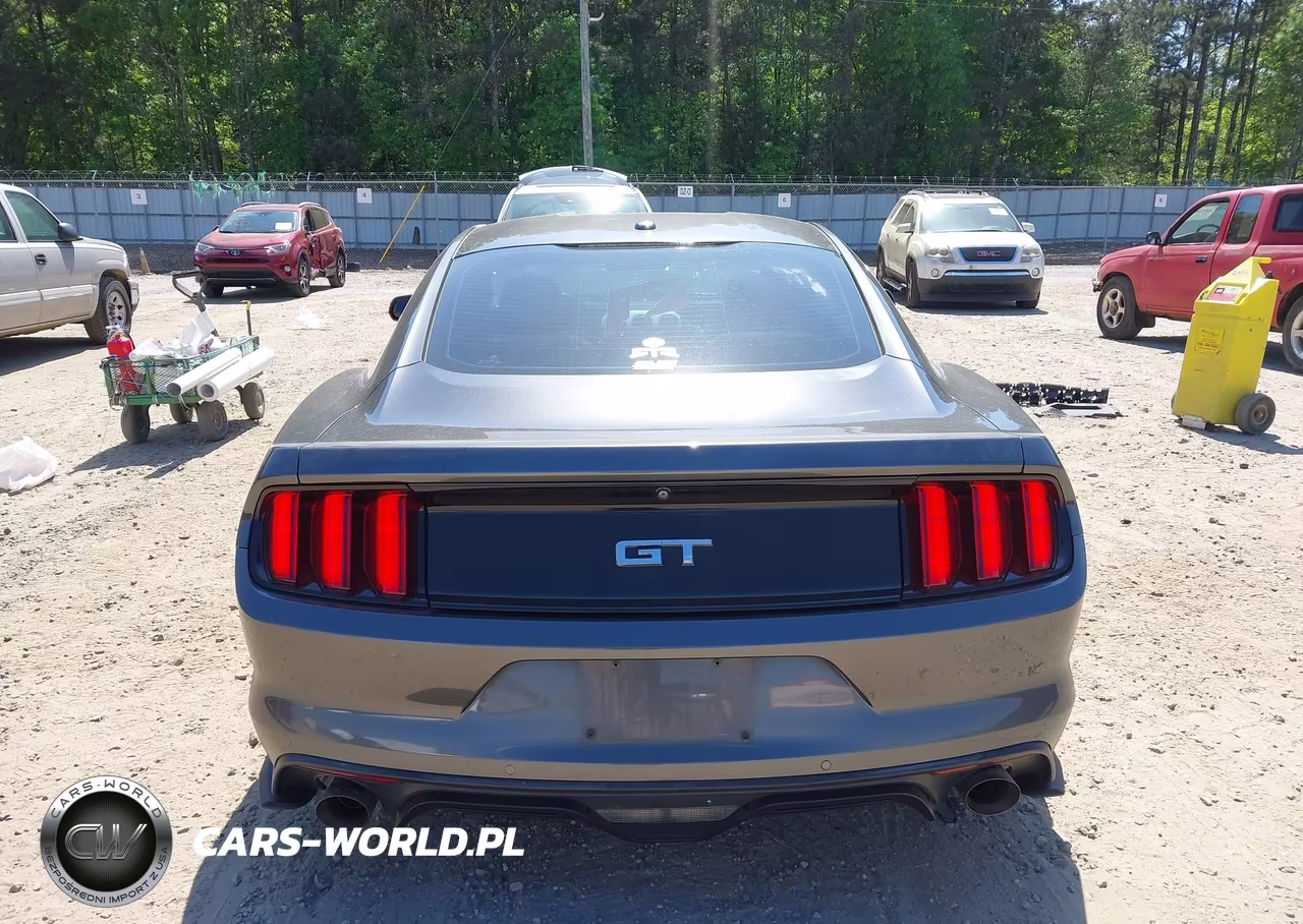 2015 Ford Mustang Gt Premium VIN:1FA6P8CF3F5380537 - 17