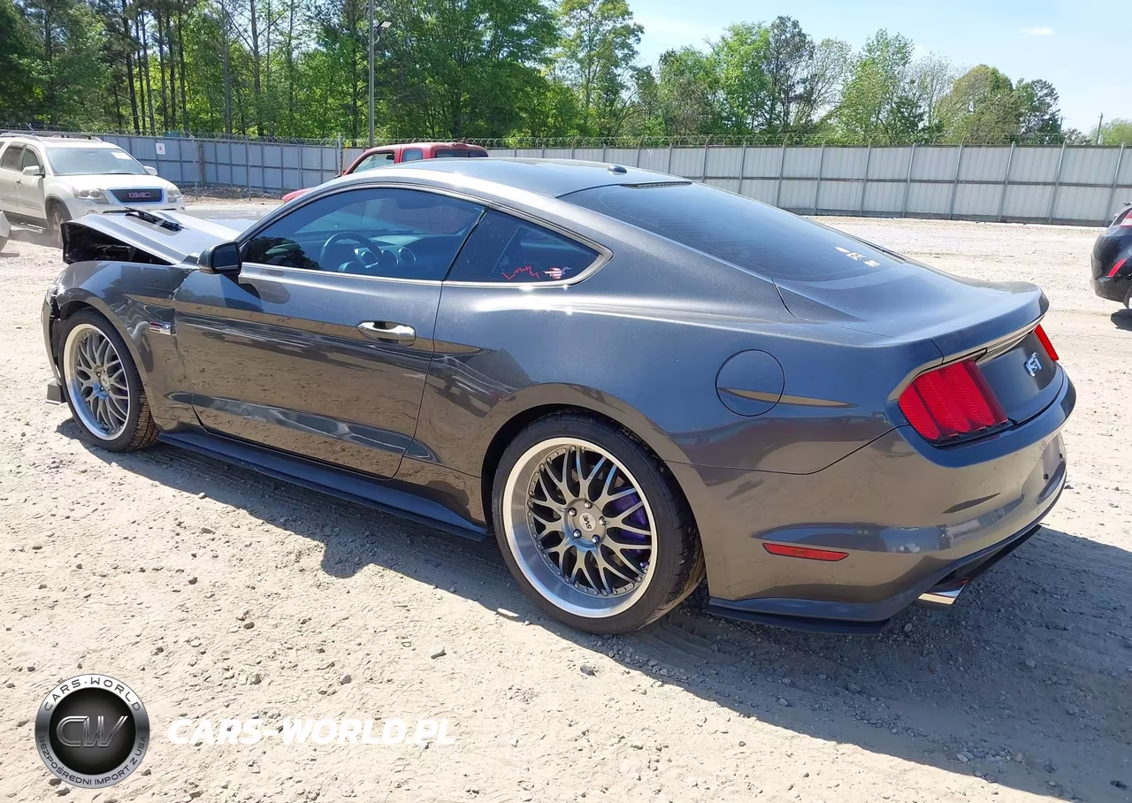 2015 Ford Mustang Gt Premium VIN:1FA6P8CF3F5380537 - 3