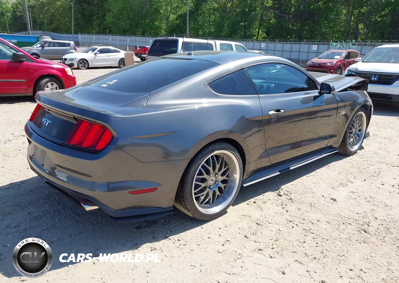 2015 Ford Mustang Gt Premium VIN:1FA6P8CF3F5380537 - 4