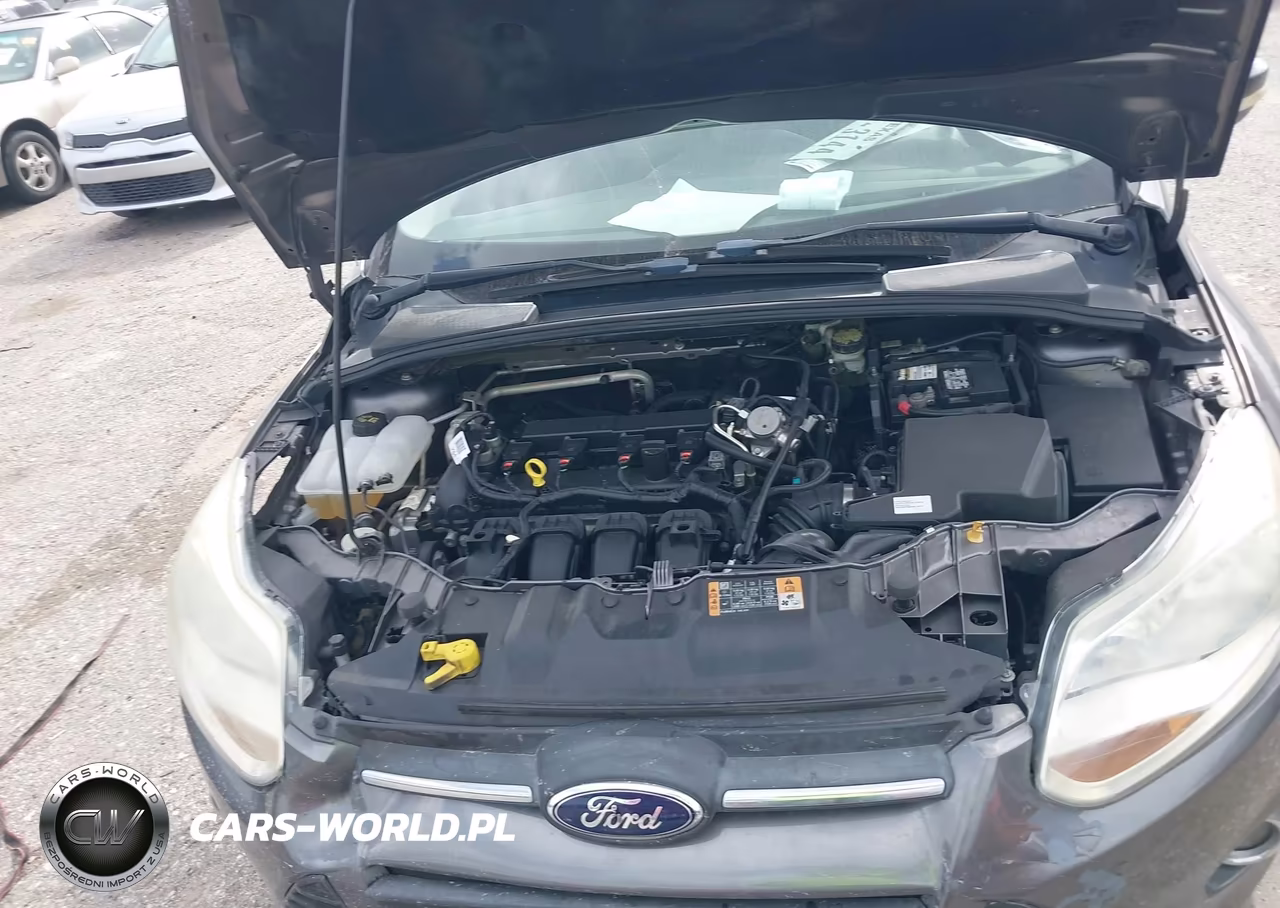 2014 Ford Focus Se VIN:1FADP3F24EL461480 - 10