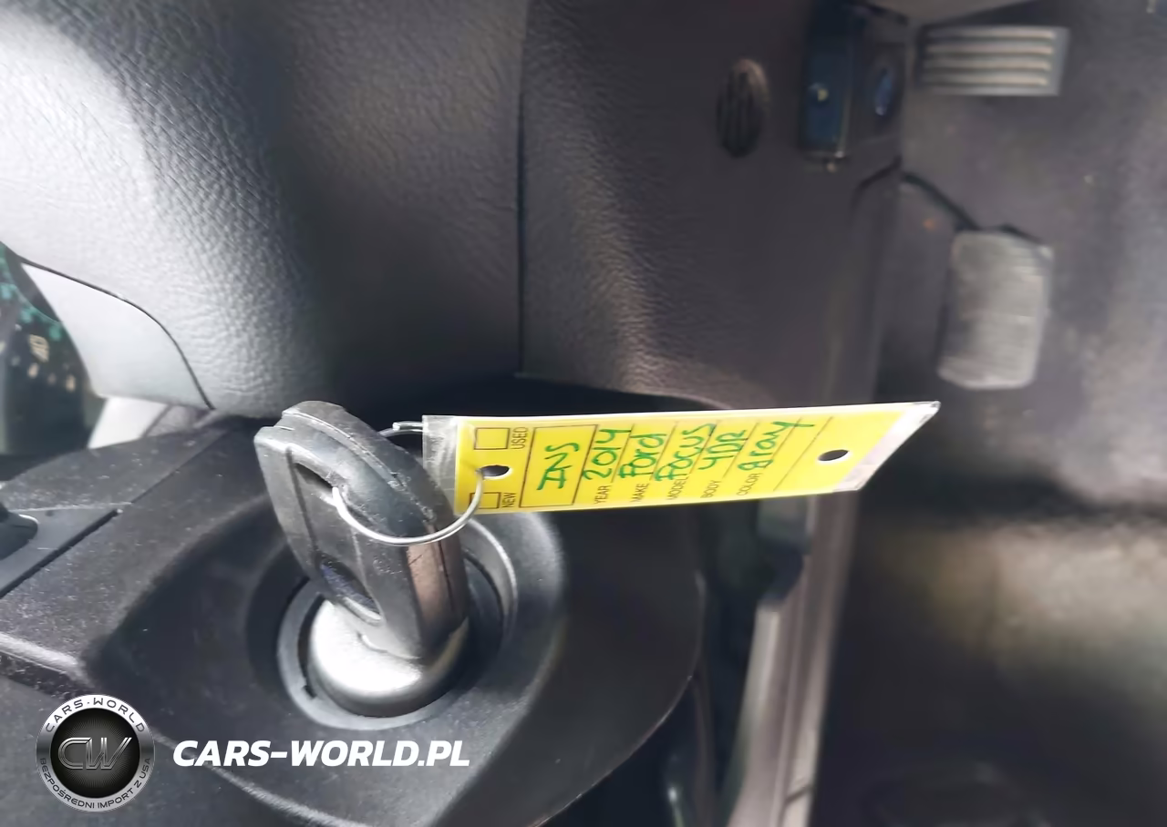 2014 Ford Focus Se VIN:1FADP3F24EL461480 - 11