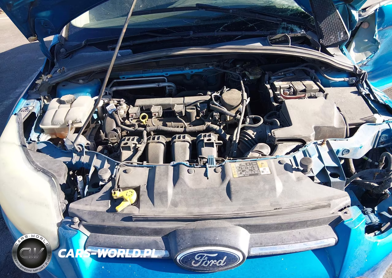 2014 Ford Focus Se VIN:1FADP3F22EL399397 - 10