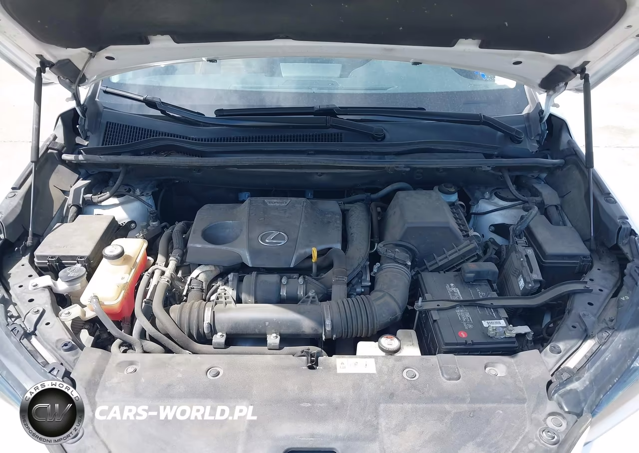 2019 Lexus Nx 300 VIN:JTJYARBZ5K2123202 - 10