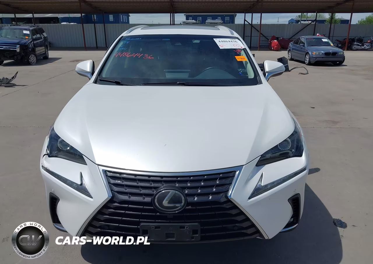 2019 Lexus Nx 300 VIN:JTJYARBZ5K2123202 - 12